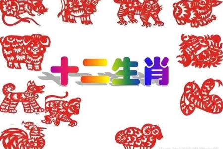 已年属什么生肖 年属什么生肖狗
