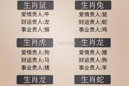 金童玉女在十二生肖中具体对应哪两个属相，求详细解析？