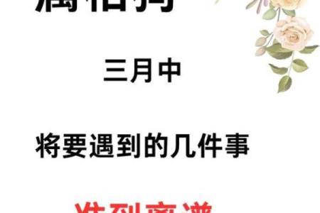 ‌如影随形打一生肖 → 狗‌（犬随主影，形影不离）