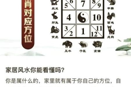 弘誓大愿在佛教中代表什么动物，与十二生肖如何对应？
