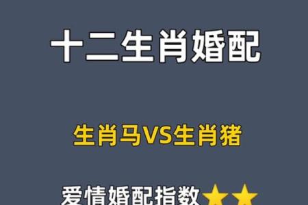 属猪不能和什么属相配 属猪的不能跟什么属相结婚