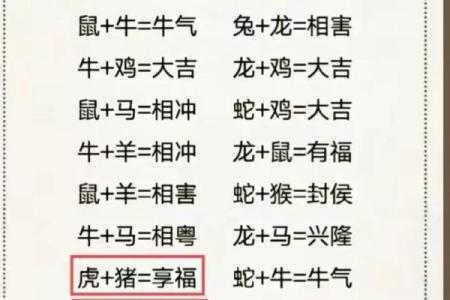 牛和虎属相合不合婚姻 女属虎男属虎婚姻相配吗