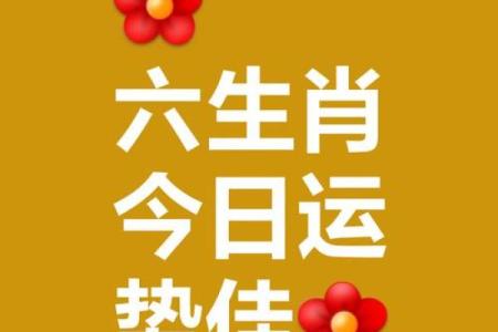 好事成双是什么生肖 好事成双正确打一生肖