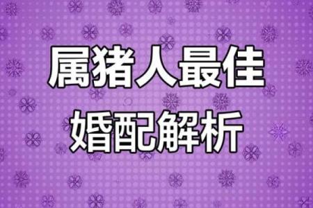属猪女不能和什么属相在一起 属猪女不能和什么属相在一起呢