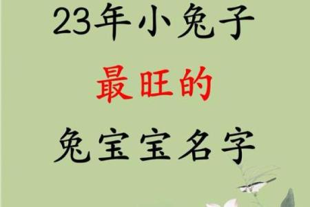 属兔最怕几月出生 2023属兔几月出生最好旺父母