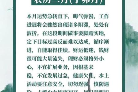 1996年属鼠人2025年运势详解，全年运程完整版解析