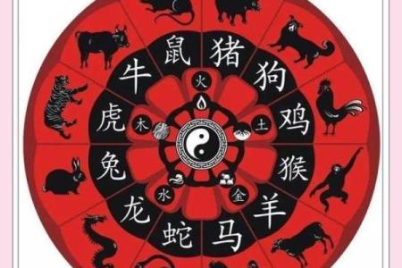 属鼠人出生月的命运 十鼠九苦几月鼠最苦