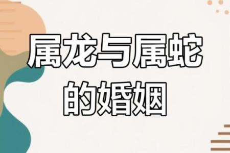 男蛇女马的属相合不合 男蛇女马相结合婚姻好不好