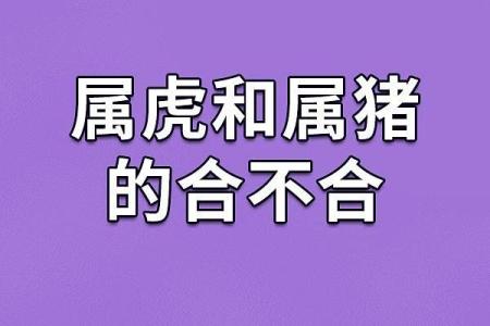 属猪跟属猪的合不合 属猪跟属猪的合不合婚姻