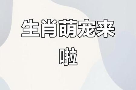 十二生肖中哪个动物最擅长勾心斗角？揭秘其性格特点和象征意义