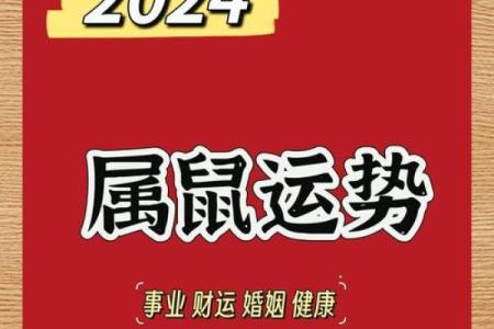 1972年属鼠男性2025年全年运势详解，事业财运和健康如何规避太岁影响