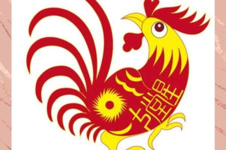 1981年的属相是属什么的 1981年的属什么生肖属相