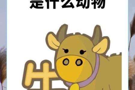再三再四是指哪个生肖动物？有没有权威的说法和来源