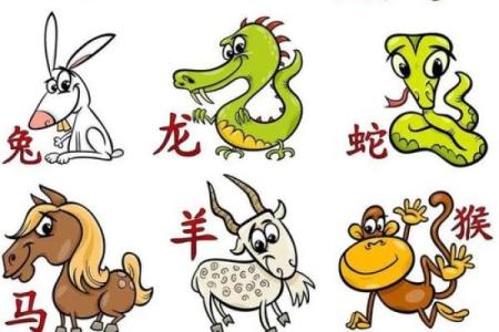 自食其果是什么生肖(自食其果是什么生肖马)