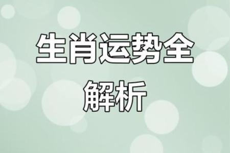 2019年运势最好的生肖 2019年运势12生肖运势每月运程祥云阁