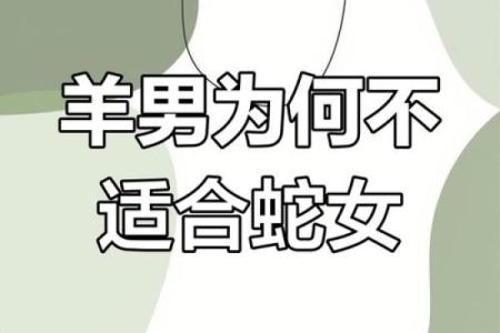 男龙女羊的属相合不合 男龙女羊的属相合不合,生的孩子属羊