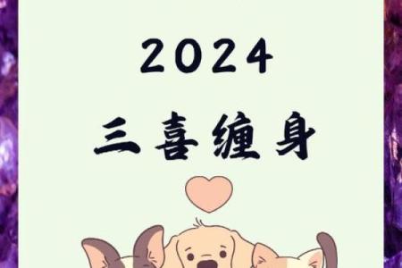 2024年属狗的今年几岁了？虚岁和周岁的准确计算方法是什么