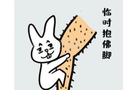 临时抱佛脚打一生肖是什么(临时抱佛脚的意思解释)