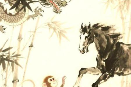 画地为牢打一生肖的正确答案和详细解析在哪里可以找到？