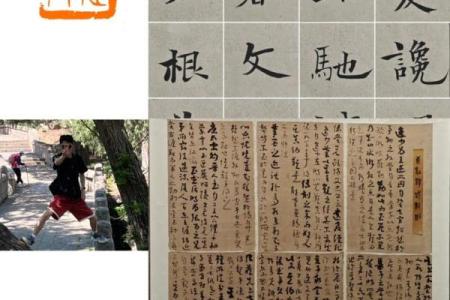 风华正茂打一生肖是什么动物(风华正茂打一生肖)