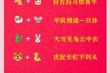 1996年属鼠女的正缘生肖配对，最佳婚配属相是哪些