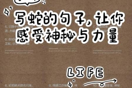 ‌冥冥之中打一生肖 → 蛇‌（蛇隐幽穴，天意暗藏）