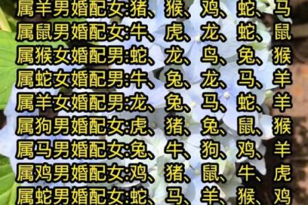 属相婚配中鼠女与虎男结合会不会经常吵架闹矛盾？