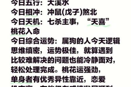 2025年属狗人全年运势详解，事业财运健康感情全面解析