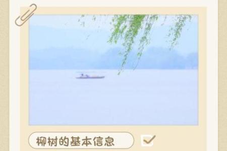 柳树最忌三种属相 柳树最怕什么东西