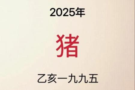 2025属猪的大忌颜色 2021年属猪大忌颜色