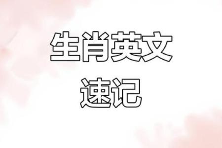 十二生肖中哪个动物代表英明果断？解读其象征意义与性格特点
