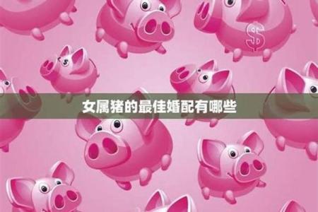 1983属猪最佳婚配 1983属猪婚配1995