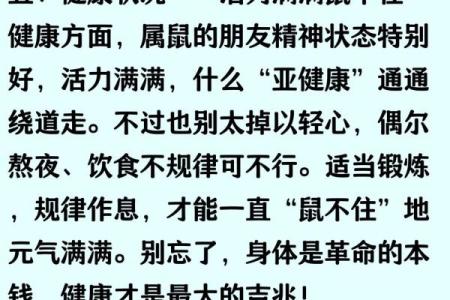 2025年属鼠人全年运势详解，财运事业健康感情全解析