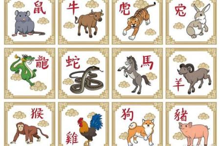 97属牛和95属猪合不合 97属牛和95属猪合不合婚