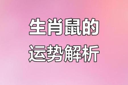2008年属鼠女性格特点及婚姻感情运势详细分析大全