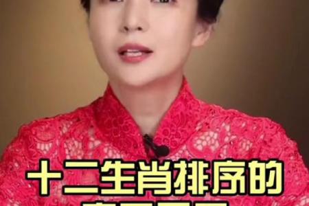 吆五喝六指什么生肖(吆五喝六指什么生肖)