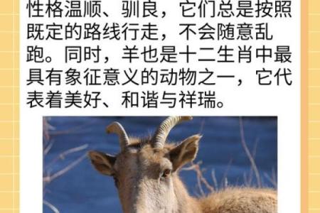 溜干二净着个成语具体指的是十二生肖中的哪一个动物呢？