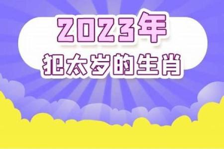 2023年属什么年(2023是什么年生肖)