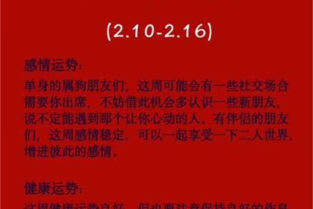 2025年属狗人每月运程预测，如何化解太岁提升整体运势