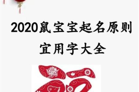 宜字什么属相不能取 宜字当什么讲