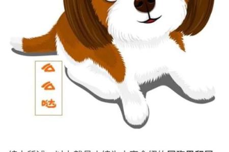 男鼠女狗的属相合不合 男鼠女狗的属相合不合财