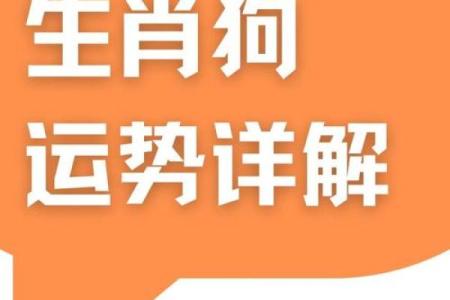 2025年属狗人士在装修中应避免使用哪些颜色？