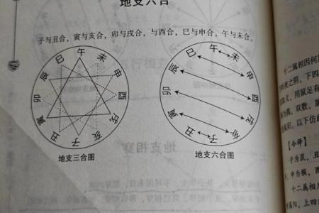老鼠与老虎属相合不合 老鼠和老虎合吗