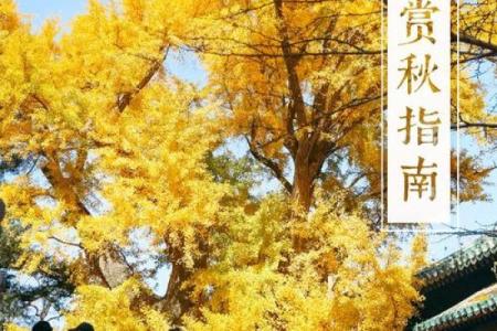 树大遮天是什么生肖(树大遮天打一生肖)