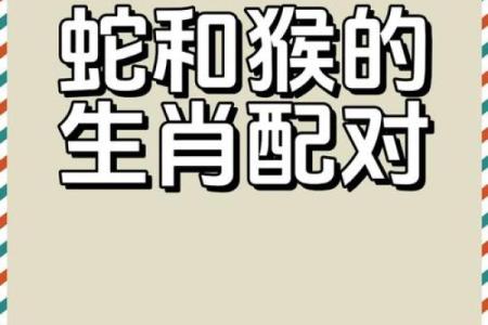 属鼠和属猴的人合作做生意财运怎么样，合财吗？