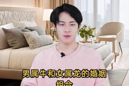 属牛与属龙的婚配如何 属牛和属龙婚配
