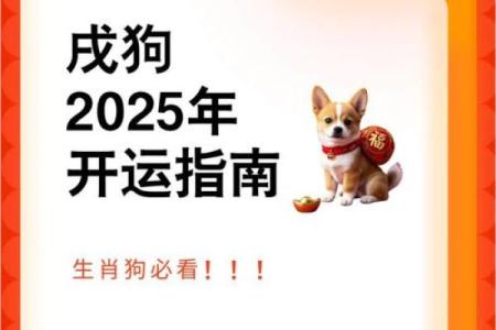 2006年出生属狗者2025年学业运势与全年得把眼睛擦亮了
