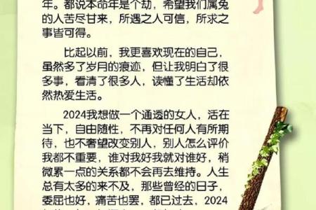 87年属兔2023年本命年运势(87年属兔2023年运势详解)