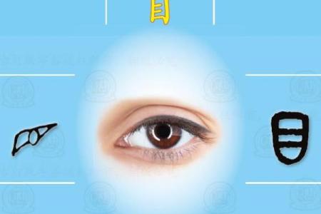 目光如豆打一生肖(目光如鼠的意思是什么)