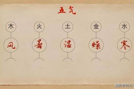 四季如春指的是哪个生肖？着个生肖的性格特点和运势如何解析